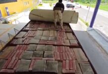 PRF apreende quase 2 toneladas de maconha em teto de caminhão frigorífico na Bahia
