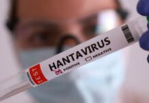 Duas pessoas retiradas de navio testam positivo para o hantavírus