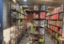 Anvisa apreende 129 mil caixas de cigarros de palha irregulares Ícone de sino para notificações