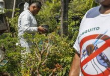 Bahia Coloca Seis Cidades Em Epidemia De Dengue; Entenda Quais São Bahia Coloca Seis Cidades Em Epidemia De Dengue; Entenda Quais São
