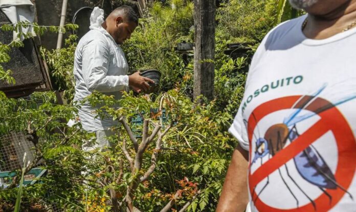 Bahia Coloca Seis Cidades Em Epidemia De Dengue; Entenda Quais São