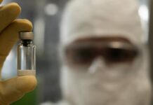 Brasil Terá Fábrica Própria De Vacina Contra Chikungunya Brasil Terá Fábrica Própria De Vacina Contra Chikungunya