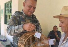 Campanha No Parque Da Cidade Incentiva Devolução Legal De Animais Silvestres Campanha No Parque Da Cidade Incentiva Devolução Legal De Animais Silvestres