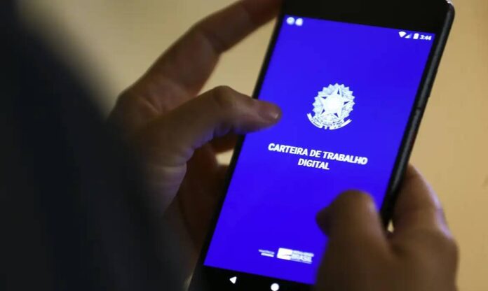 Desemprego Em Salvador Cai De 14,3% Para 8,2%, Aponta IBGE