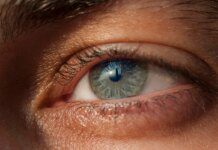 Estudo investiga possível relação entre o uso de Wegovy e AVC ocular Ícone de sino para notificações