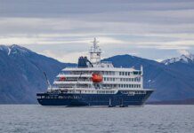 Norovírus e hantavírus: maiores surtos em navios de luxo da história Ícone de sino para notificações