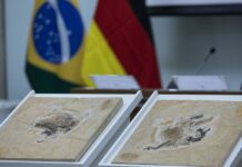 Brasil quer recuperar dinossauros e patrimônios espalhados por 14 país
