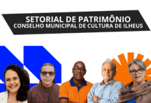 eleições do conselho de cultura começam nesta quinta-feira