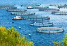 Bahia Ganha Programa Gratuito Para Formar Lideranças Focadas Em Economia Azul Bahia Ganha Programa Gratuito Para Formar Lideranças Focadas Em Economia Azul
