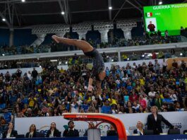 Brasil garante seleções da ginástica artística no Mundial da Holanda Brasil garante seleções da ginástica artística no Mundial da Holanda