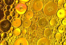 Cientistas descobrem gordura que reduz câncer de pâncreas; saiba qual Ícone de sino para notificações