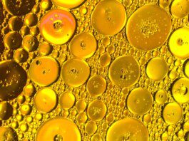 Cientistas descobrem gordura que reduz câncer de pâncreas; saiba qual Ícone de sino para notificações