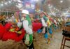 Confira A Programação E As Atrações Do São João Da Bahia 2026 Confira A Programação E As Atrações Do São João Da Bahia 2026