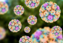Desinformação é o principal entrave para vacina contra o HPV Desinformação é o principal entrave para vacina contra o HPV