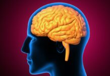 Estudo descobre uma possível ligação genética entre câncer e Alzheimer Estudo descobre uma possível ligação genética entre câncer e Alzheimer