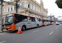 Feira De Santana Terá ônibus Gratuitos Para Festejos Juninos Nos Distritos Feira De Santana Terá ônibus Gratuitos Para Festejos Juninos Nos Distritos