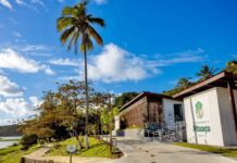 Governo Da Bahia Entrega Primeira Etapa Da Requalificação Do Parque De Pituaçu Governo Da Bahia Entrega Primeira Etapa Da Requalificação Do Parque De Pituaçu