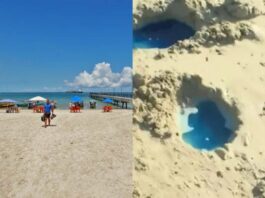 Inema Aplica R$ 50 Milhões Em Multas Por Contaminação Na Praia De São Tomé De Paripe Inema Aplica R$ 50 Milhões Em Multas Por Contaminação Na Praia De São Tomé De Paripe