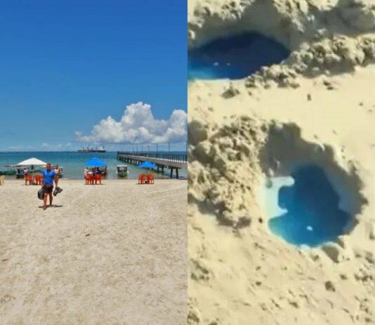 Inema Aplica R$ 50 Milhões Em Multas Por Contaminação Na Praia De São Tomé De Paripe Inema Aplica R$ 50 Milhões Em Multas Por Contaminação Na Praia De São Tomé De Paripe