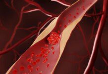Sangue estraga? Saiba quanto tempo ele dura e como é reciclado Ícone de sino para notificações
