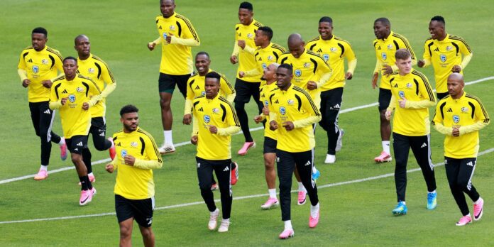 Semelhanças entre Brasil e África do Sul vão além do Semelhanças entre Brasil e África do Sul vão além do verde e amarelo
