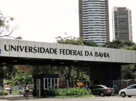 Governo Regulamenta 15,6 Mil Vagas Para Universidades E Institutos Federais Ufba Abre Concurso Com 37 Vagas Para Professores E Salários Iniciais De Até R$ 13,7 Mil