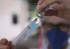 Vacina Da Gripe: Idosos De Salvador Já Podem Testar Novo Imunizante Vacina Da Gripe: Idosos De Salvador Já Podem Testar Novo Imunizante