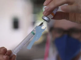 Vacina Da Gripe: Idosos De Salvador Já Podem Testar Novo Imunizante Vacina Da Gripe: Idosos De Salvador Já Podem Testar Novo Imunizante