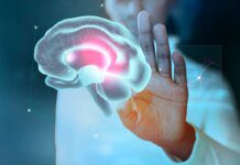 Vitamina B3 pode ajudar no tratamento de câncer cerebral agressivo Vitamina B3 pode ajudar no tratamento de câncer cerebral agressivo