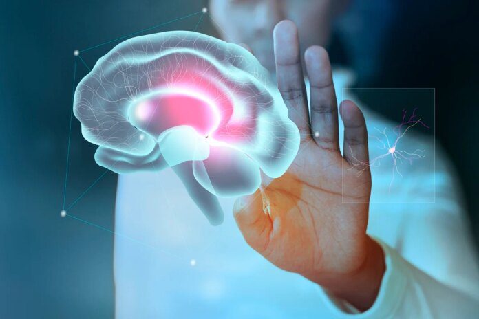 Vitamina B3 pode ajudar no tratamento de câncer cerebral agressivo Vitamina B3 pode ajudar no tratamento de câncer cerebral agressivo
