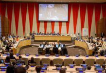 Brasil é eleito para integrar Conselho Econômico e Social da ONU