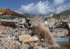 Número de mortos por terremotos na Venezuela sobre para 2.645
