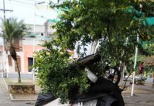 Prefeitura realiza ação para retirar acampamento irregular na Praça Santa Rita.