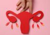 Após a menopausa, ovários podem assumir perfil de órgão imunológico Após a menopausa, ovários podem assumir perfil de órgão imunológico