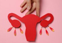 Após a menopausa, ovários podem assumir perfil de órgão imunológico Após a menopausa, ovários podem assumir perfil de órgão imunológico