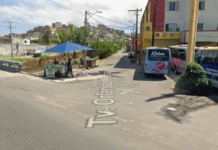 Cachorro Comunitário é Encontrado Morto Com Sinais De Violência Em Salvador Cachorro Comunitário é Encontrado Morto Com Sinais De Violência Em Salvador