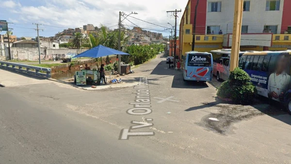 Cachorro Comunitário é Encontrado Morto Com Sinais De Violência Em Cachorro Comunitário é Encontrado Morto Com Sinais De Violência Em Salvador