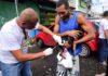 Campanha Antirrábica Começa Na Segunda-feira (20); Veja Onde Vacinar Cães E Gatos Em Salvador Campanha Antirrábica Começa Na Segunda-feira (20); Veja Onde Vacinar Cães E Gatos Em Salvador
