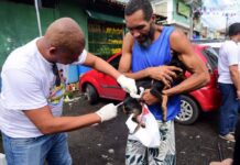 Campanha Antirrábica Começa Na Segunda-feira (20); Veja Onde Vacinar Cães E Gatos Em Salvador Campanha Antirrábica Começa Na Segunda-feira (20); Veja Onde Vacinar Cães E Gatos Em Salvador
