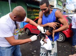 Campanha Antirrábica Começa Na Segunda-feira (20); Veja Onde Vacinar Cães E Gatos Em Salvador Campanha Antirrábica Começa Na Segunda-feira (20); Veja Onde Vacinar Cães E Gatos Em Salvador