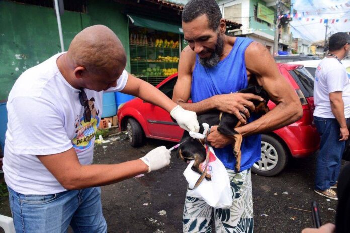 Campanha Antirrábica Começa Na Segunda-feira (20); Veja Onde Vacinar Cães Campanha Antirrábica Começa Na Segunda-feira (20); Veja Onde Vacinar Cães E Gatos Em Salvador