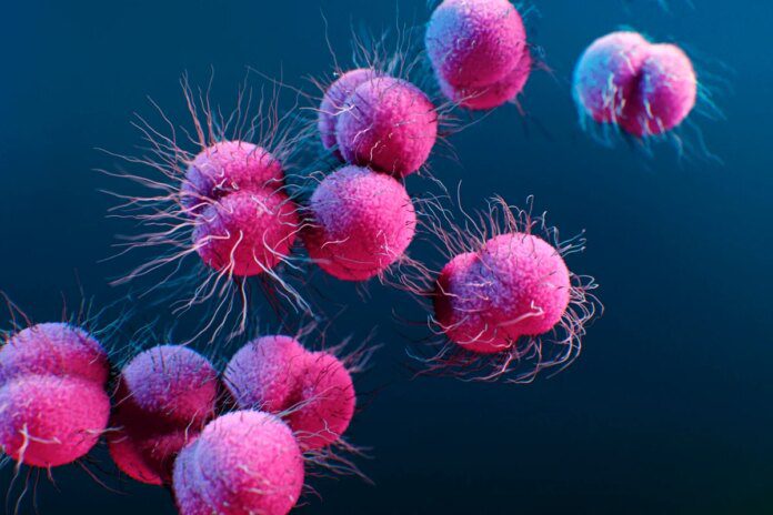 Casos de gonorreia resistente a antibiótico aumentam na Europa Casos de gonorreia resistente a antibiótico aumentam na Europa