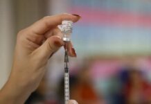 Estudo Aponta Queda De Quase 50% Nos Principais Tipos De HPV Após Vacinação No Brasil Estudo Aponta Queda De Quase 50% Nos Principais Tipos De HPV Após Vacinação No Brasil