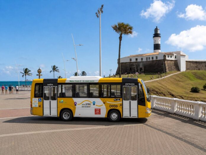 Frota Do Transporte Complementar De Salvador Será Totalmente Renovada