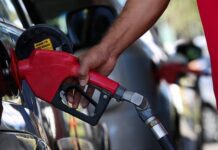 Governo Testa Diesel Com 25% De Biodiesel Em ônibus Em Circulação Gasolina Passa A Ter 32% De Etanol Em Todo O País A Partir Deste Sábado