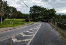 VÍDEO: Tempestade Com Ventos Acima De 110 Km/h Deixa Mortos E Causa Destruição No Sudeste VÍDEO: Tempestade Com Ventos Acima De 110 Km/h Deixa Mortos E Causa Destruição No Sudeste