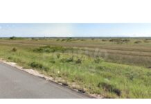 Terras avaliadas em R$ 279 mi, de empresa de engenharia falida na Bahia, vão a leilão com lance inicial de R$ 1 mil
