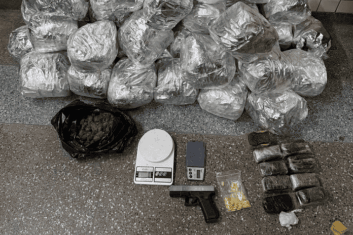Ação Da Rondesp RMS Localiza Drogas E Simulacro De Arma Na Região Metropolitana