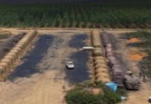 Ação Do MP Identifica Mais De 200 Hectares De Desmatamento Ilegal Na Bahia Ação Do MP Identifica Mais De 200 Hectares De Desmatamento Ilegal Na Bahia
