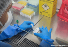 Anvisa Atualiza Regras Para Laboratórios De Controle Sanitário Anvisa Atualiza Regras Para Laboratórios De Controle Sanitário
